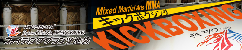 SP用『キャピタルレイズ　ファイティンググランツ』バナー